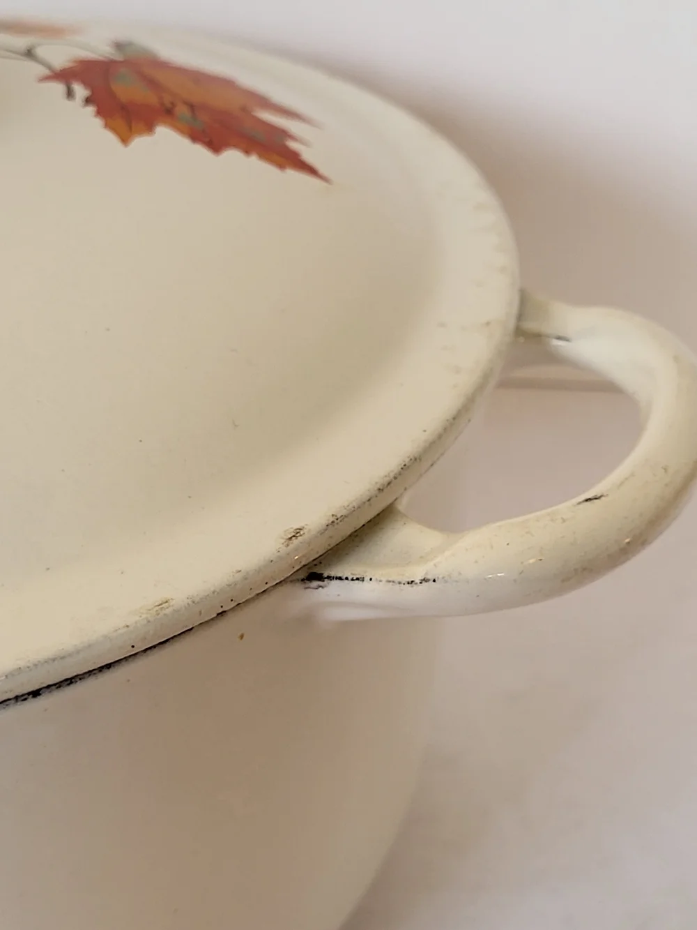 1960s Descoware Enamel Cast Iron Covered 4qt Dutch Oven Autumn Leaves